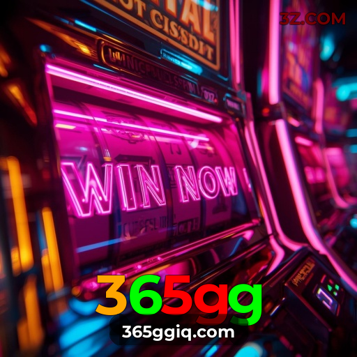 Experiência VIP 365gg